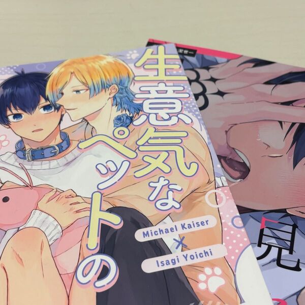 同人誌 kiis カイ潔 2冊セット