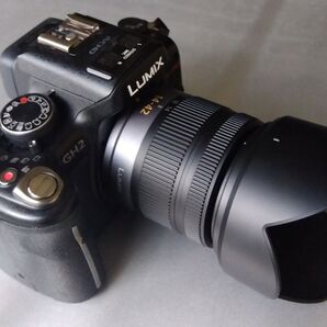 パナソニック LUMIX GH2