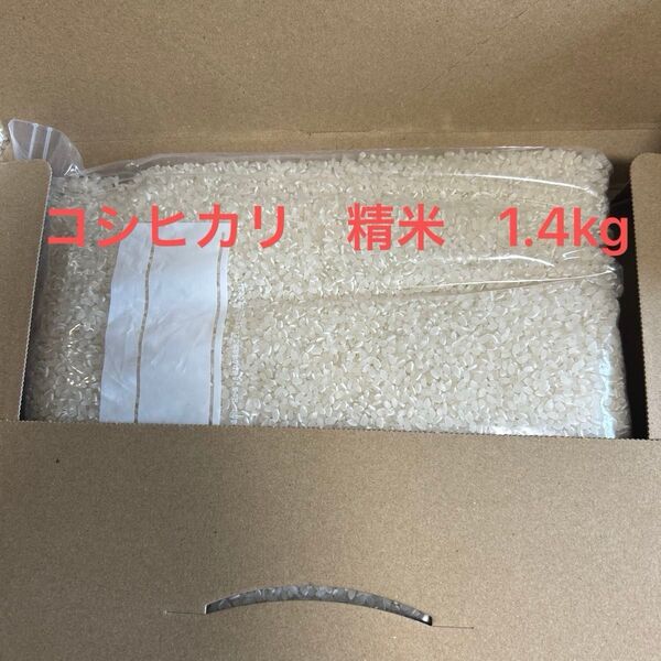 コシヒカリ 茨城県産 令和6年産 精米 上白米 1.4kg 保冷庫保存