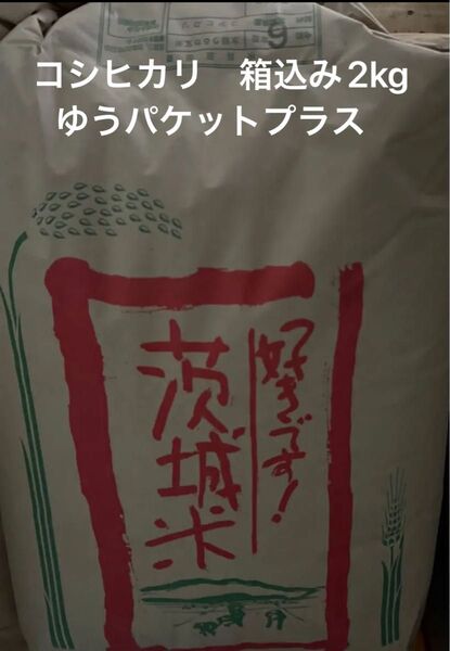 コシヒカリ 茨城県産 令和6年産 精米 上白米 白米梱包含めて約2kg 保冷庫保存