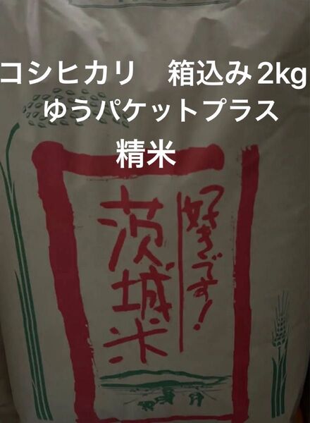 コシヒカリ 茨城県産 令和6年産 精米 白米梱包含めて約2kg 保冷庫保存