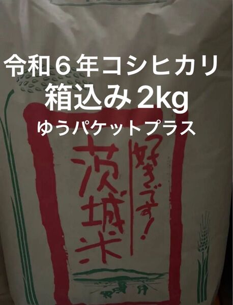 コシヒカリ 茨城県産 令和6年産 精米 白米梱包含めて約2kg 保冷庫保存