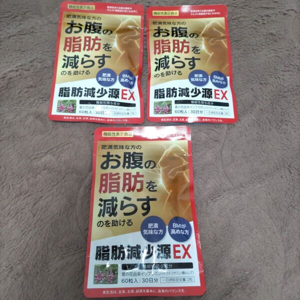 脂肪減少源EX サプリ 3袋 イソフラボン 180粒 サプリメント 匿名配送 まとめ売り 肥満 肥満対策