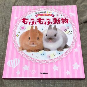 もふもふ図鑑