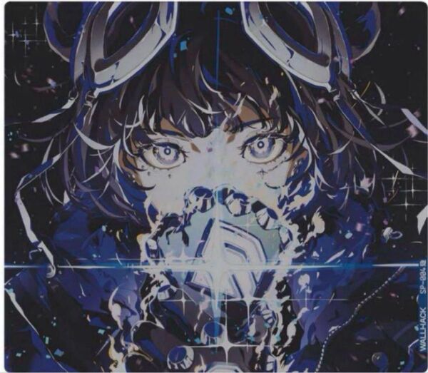 999枚限定WALLHACK SP-004 Gravity Yume