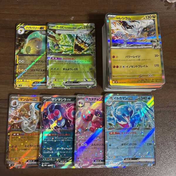 ポケモンカード 100枚セット ハラバリー、オーガポン、マンムー、マシマシラ、デカヌチャン、イルカマン