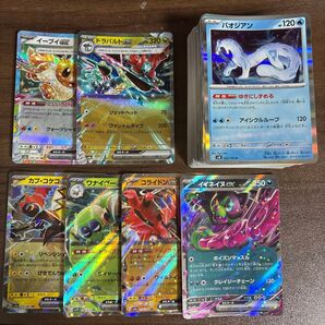 ポケモンカード 100枚セット イーブイ、ドラパルト、カプ・コケコ、ワナイダー、コライドン、イイネイヌ