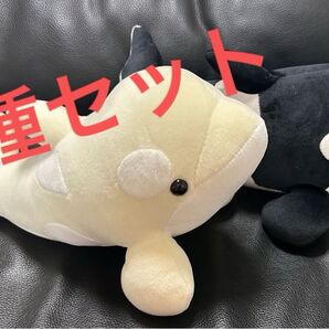 名古屋港水族館 ぬいぐるみ くじ シャチ 黒 白(アルビノ) 2点セット