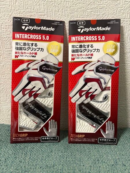 TaylorMade テーラーメイド ゴルフ グローブ インタークロス 5.0 2枚セット 右手用 24cm