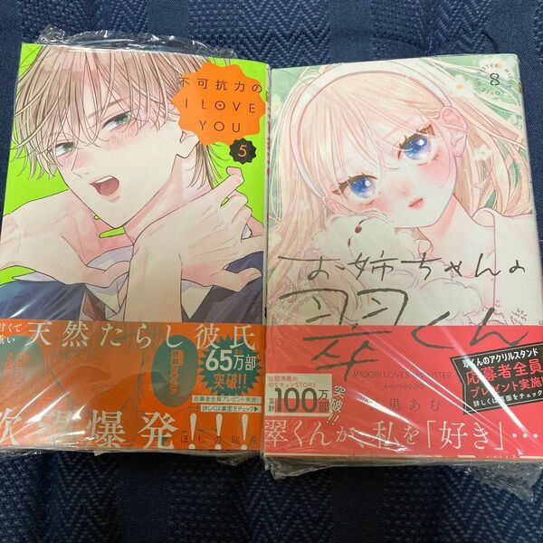 お姉ちゃんの翠くん 8 不可抗力のI LOVE YOU 5