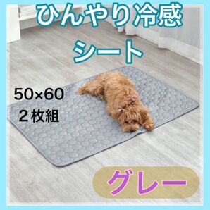 新品 接触冷感マット ひんやりシート 熱中症対策 ペットマット 犬 猫 洗える