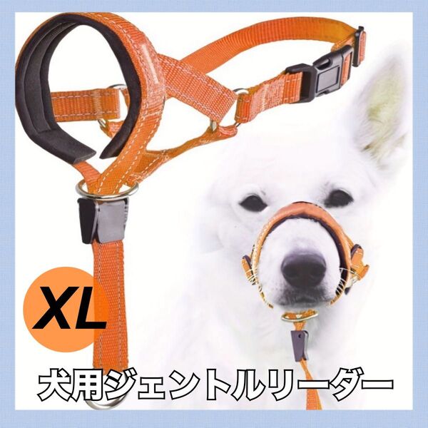 【フォロー割】 中型犬 大型犬 犬用 ペット用品 ドライブ 旅行 公園 散歩 しつけ おしゃれ カラフル ジェントルリーダー