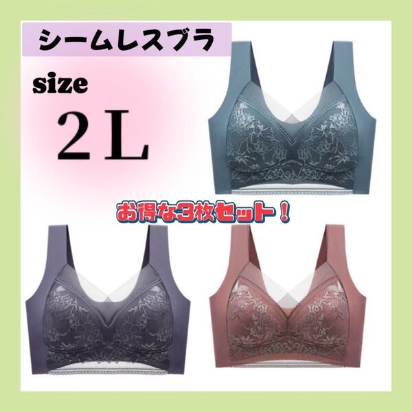 【フォロー割】 胸を小さく見せるブラ ノンワイヤー シームレスブラ 美胸 快適 ナイトブラ レディース 伸縮性 育乳ブラ 2L