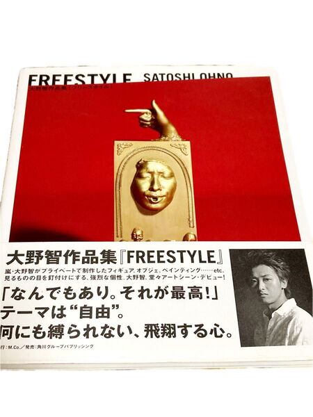 嵐 ジャニーズ 大野智 作品集 写真集