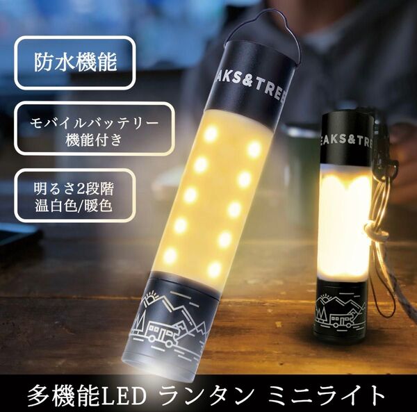 PEAKS&TREES ミニライト LEDライトモバイルバッテリー機能 懐中電灯