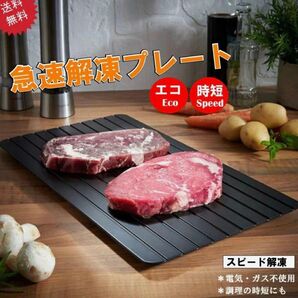 【新品未開封】急速解凍プレート ブラック Mサイズ 時短 便利グッズ
