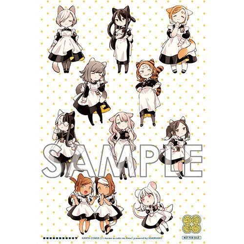 11番目のねこはねね 1 comic zin コミックジン 特典B6判イラストカード付き 新品未開封(シュリンク付き)