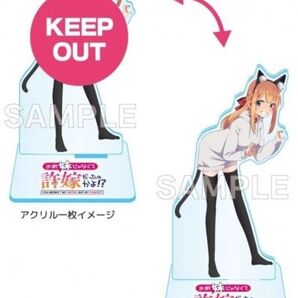 お前妹じゃなくて許嫁だったのかよ!? 4 ゲーマーズ限定版 描き下ろし着せ替えアクリルフィギュア 新品未開封