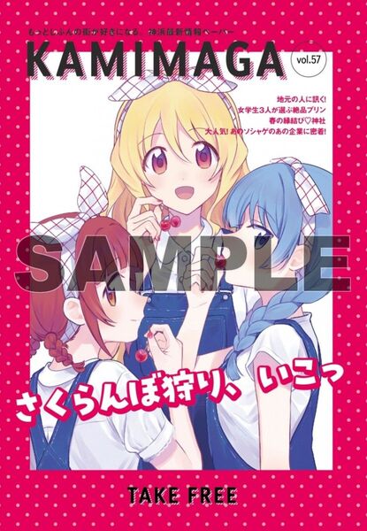 マギアレコード 魔法少女まどか☆マギカ外伝 11 ゲーマーズ特典 描き下ろし4Pブックレット付き 新品未開封(シュリンク付き)