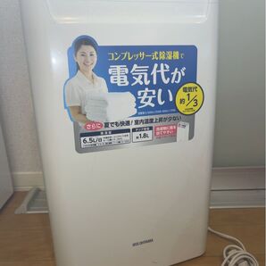 アイリスオーヤマ 衣類乾燥除湿機 DCE-6515 コンプレッサー式