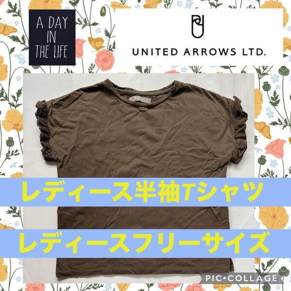 UNITED ARROWS ユナイテッドアローズ レディース 半袖 袖フリル Tシャツ 綿 無地 カットソー コットン トップス