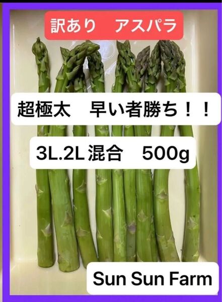 アスパラガス 訳あり品 3L.2Lサイズ混合 500グラム 朝採れ発送