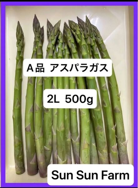 アスパラガス A品 2Lサイズ 500グラム 朝採れ発送