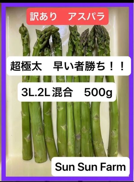 アスパラガス 訳あり品 3L.2Lサイズ混合 朝採れ発送
