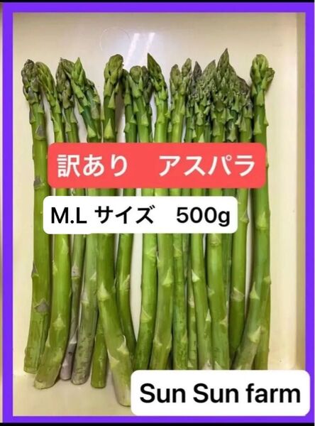 アスパラガス 訳あり品 L.Mサイズ混合 500グラム 朝採れ発送
