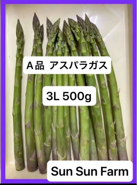 アスパラガス A品 3Lサイズ 500グラム 朝採れ発送