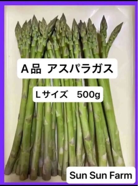 アスパラガス A品 Lサイズ 500グラム 朝採れ発送