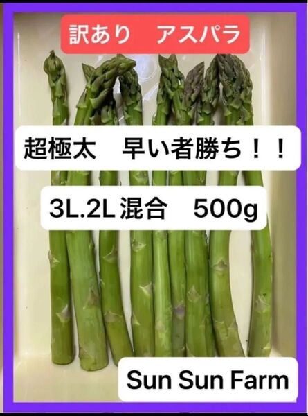 アスパラガス 訳あり品 3L.2Lサイズ混合 500グラム 朝採れ発送