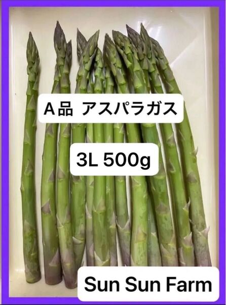 アスパラガス A品 3Lサイズ 500グラム 朝採れ発送