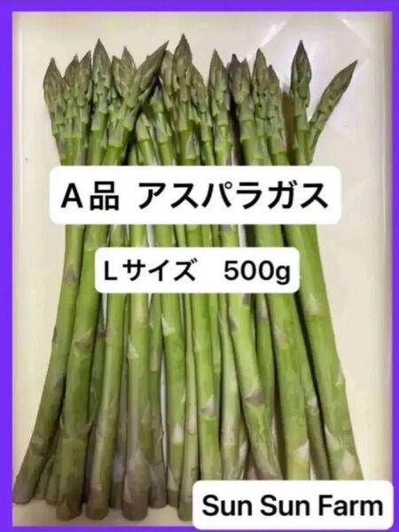 アスパラガス A品 Lサイズ 500グラム 朝採れ発送