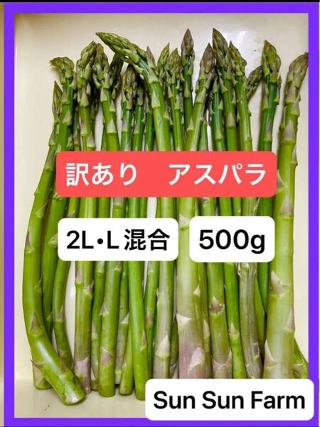 アスパラガス 訳あり品 2L.Lサイズ混合 500グラム 朝採れ発送