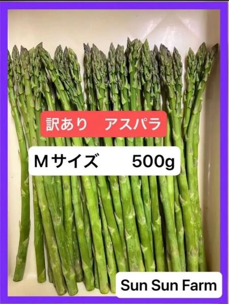 アスパラガス 訳あり品 Mサイズ 500グラム 朝採れ発送