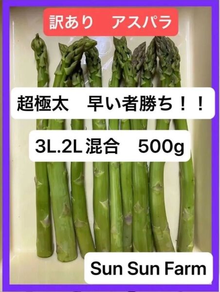 アスパラガス 訳あり品 3L.2Lサイズ混合 500グラム 朝採れ発送