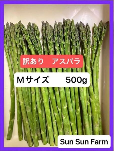アスパラガス 訳あり品 Mサイズ 500グラム 朝採れ発送