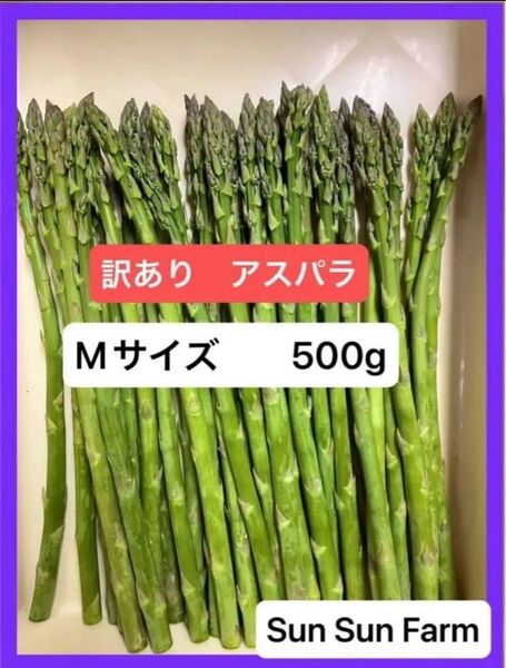 アスパラガス 訳あり品 Mサイズ 500グラム 朝採れ発送