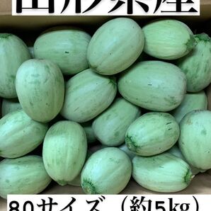 摘果メロン