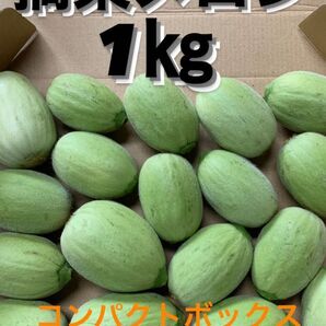 摘果メロン