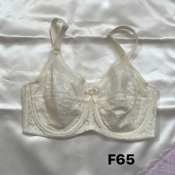 補正下着 シャンデール ブラジャー F65