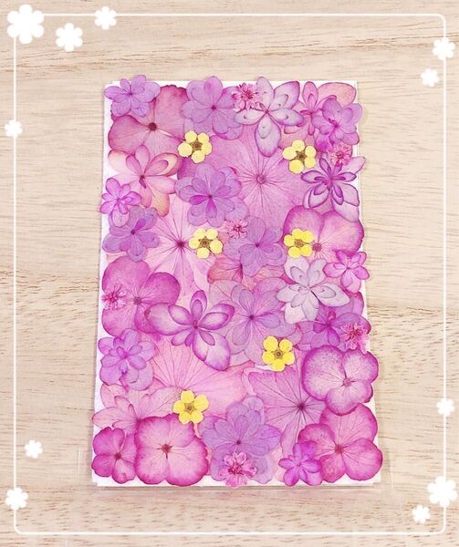 【押し花 素材】ピンク系アジサイセット71