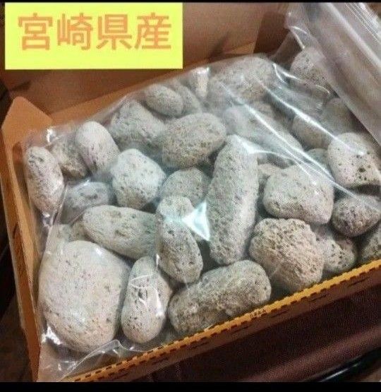 数量限定★宮崎県産・天然・自然・軽石・ガーデニング・用途様々・石・軽量・角質・磨・お試しに♪