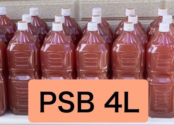 濃厚PSB 光合成細菌 自家培養品 4L(2L×2本)