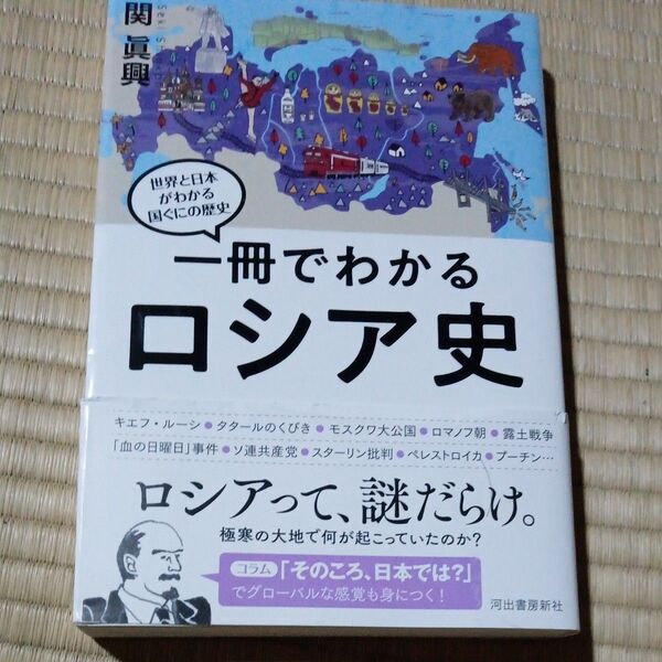 一冊でわかるロシア史 (世界と日本がわかる国ぐにの歴史) 関眞興/著