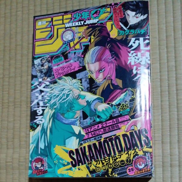 週刊少年ジャンプ 2025年25号 6月2日号 (集英社)