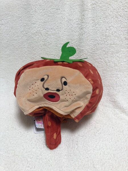 こびとづかん なりきり帽子 イチゴクレナイ スモモノウチ