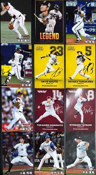 【新品・未使用】カルビー2025プロ野球チップス第1弾12枚セット