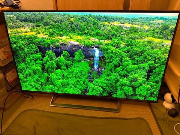 映り綺麗!パナソニック 49型 4K対応 スマートテレビ TH-49CX800